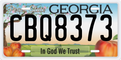 GA license plate CBQ8373