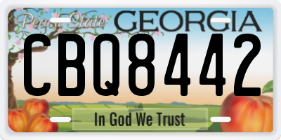 GA license plate CBQ8442