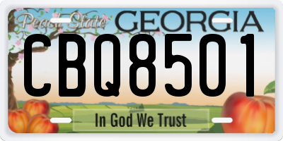 GA license plate CBQ8501