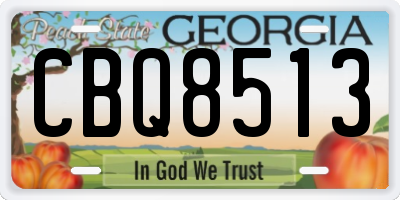 GA license plate CBQ8513
