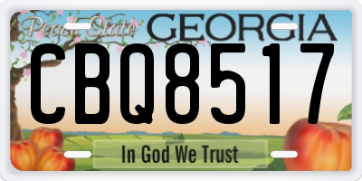 GA license plate CBQ8517