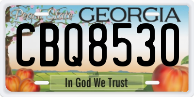 GA license plate CBQ8530