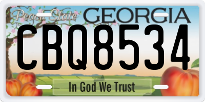 GA license plate CBQ8534