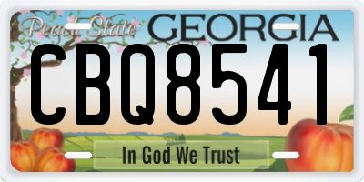GA license plate CBQ8541