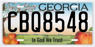 GA license plate CBQ8548