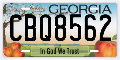 GA license plate CBQ8562