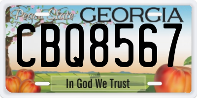 GA license plate CBQ8567
