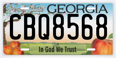 GA license plate CBQ8568