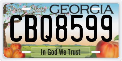 GA license plate CBQ8599