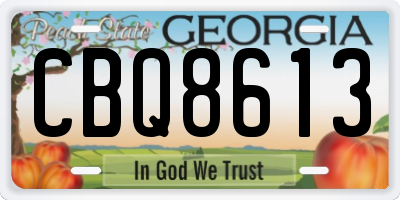 GA license plate CBQ8613