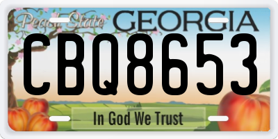 GA license plate CBQ8653