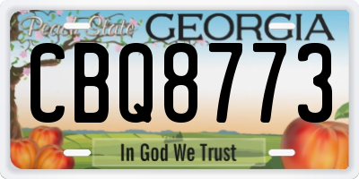 GA license plate CBQ8773