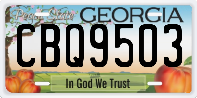GA license plate CBQ9503