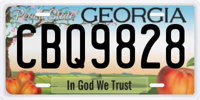 GA license plate CBQ9828