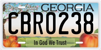 GA license plate CBR0238