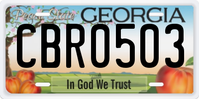 GA license plate CBR0503