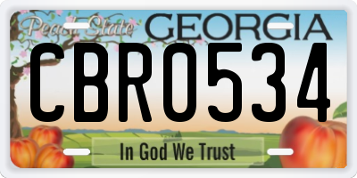 GA license plate CBR0534