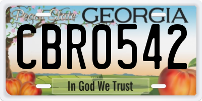 GA license plate CBR0542