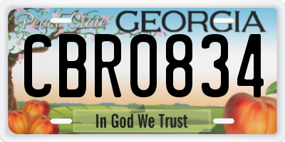 GA license plate CBR0834
