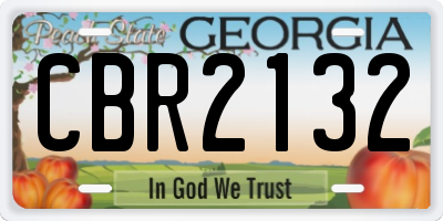 GA license plate CBR2132