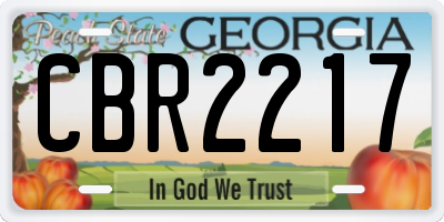 GA license plate CBR2217