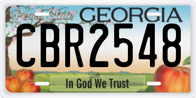 GA license plate CBR2548