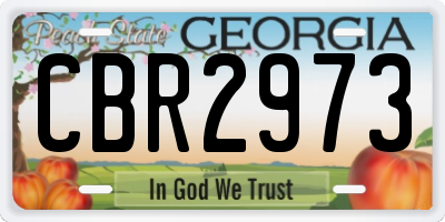 GA license plate CBR2973