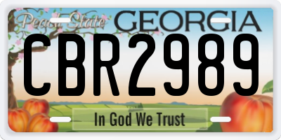 GA license plate CBR2989