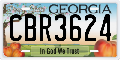 GA license plate CBR3624