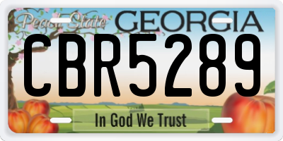 GA license plate CBR5289
