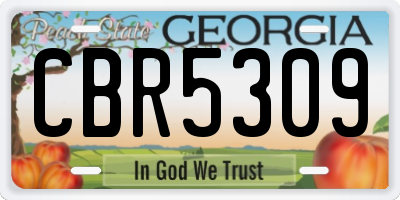 GA license plate CBR5309