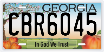 GA license plate CBR6045