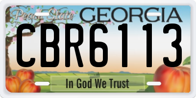 GA license plate CBR6113