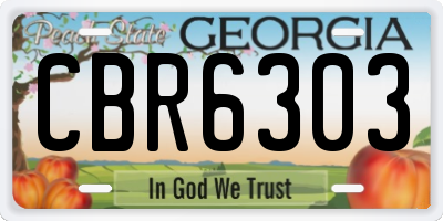 GA license plate CBR6303