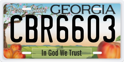 GA license plate CBR6603