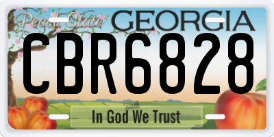 GA license plate CBR6828