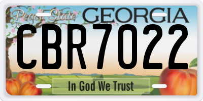 GA license plate CBR7022