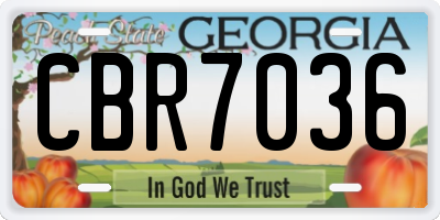 GA license plate CBR7036