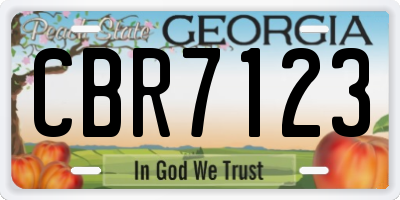 GA license plate CBR7123