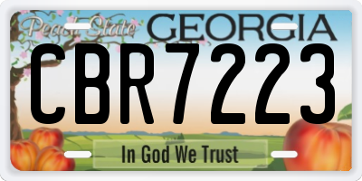 GA license plate CBR7223