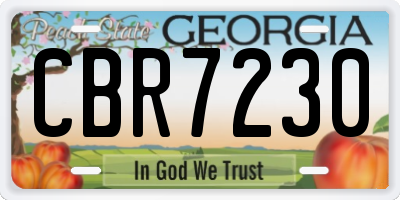 GA license plate CBR7230