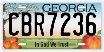 GA license plate CBR7236