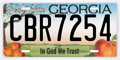 GA license plate CBR7254
