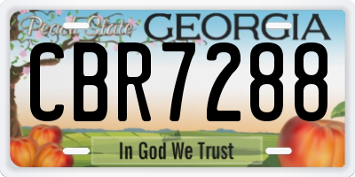 GA license plate CBR7288