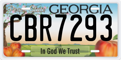 GA license plate CBR7293