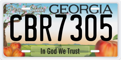 GA license plate CBR7305