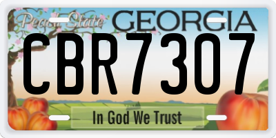 GA license plate CBR7307