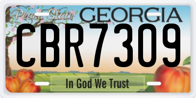 GA license plate CBR7309