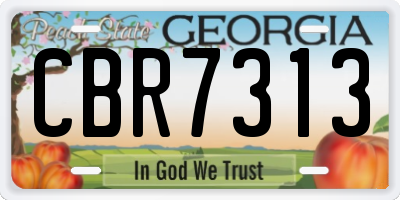 GA license plate CBR7313