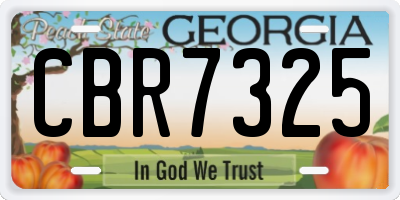 GA license plate CBR7325